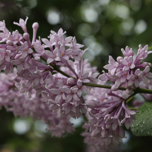 Photo #13865655