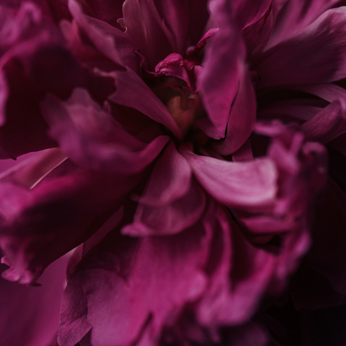 Photo #13865657