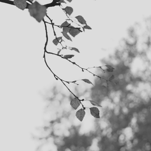 Photo #13865803
