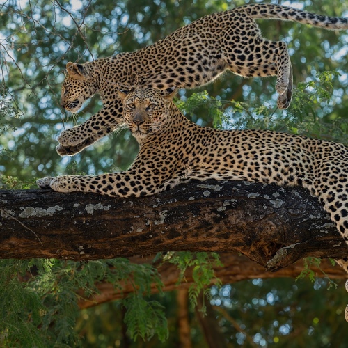Photo #13865809