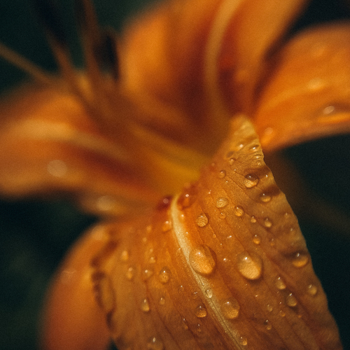 Photo #13865939