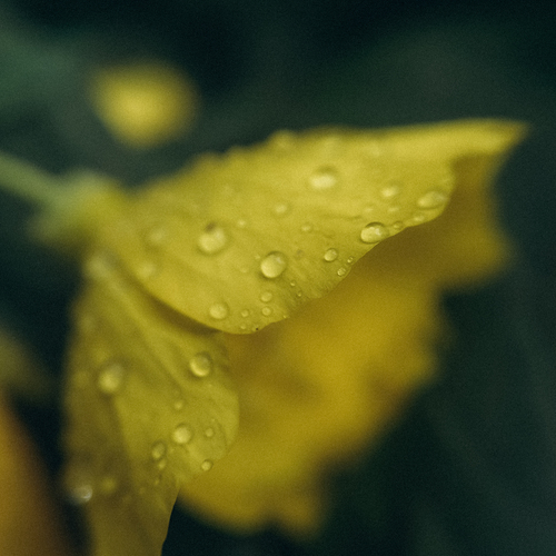 Photo #13865941