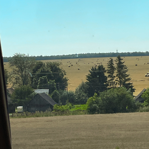 Photo #13865946