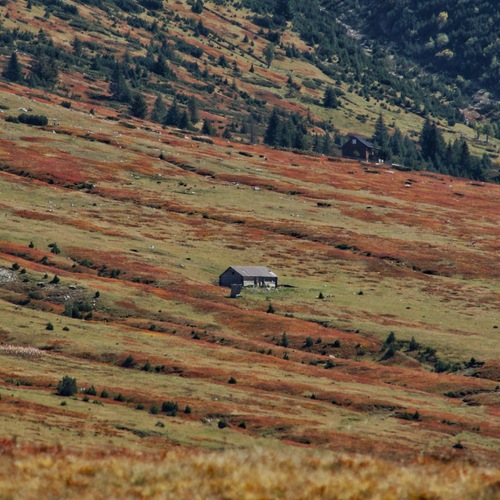 Photo #13865994