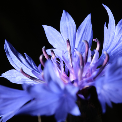 Photo #13865996