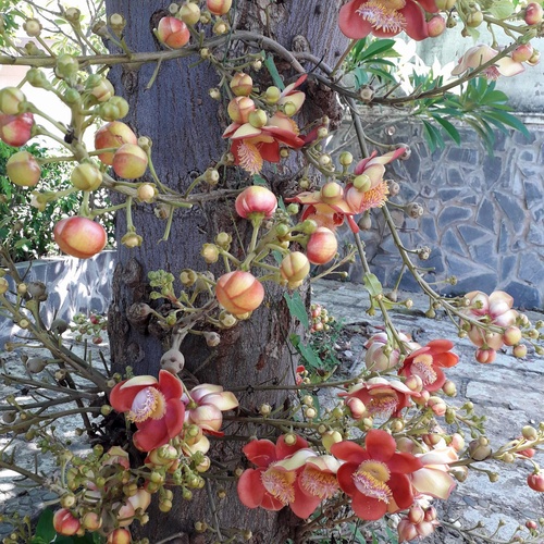 Photo #13866018