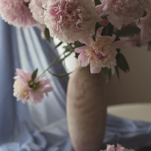 Photo #13866028