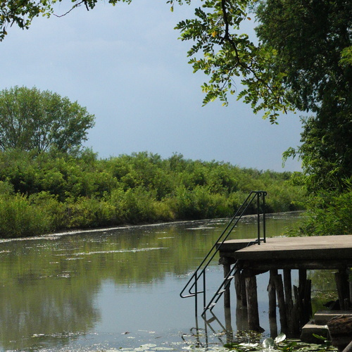 Photo #13866064