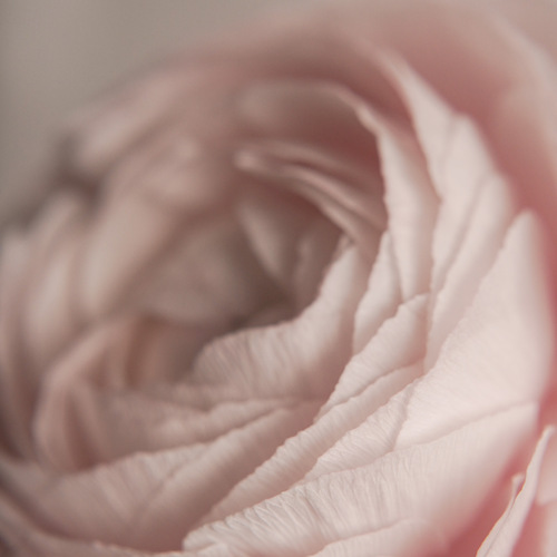 Photo #13866144