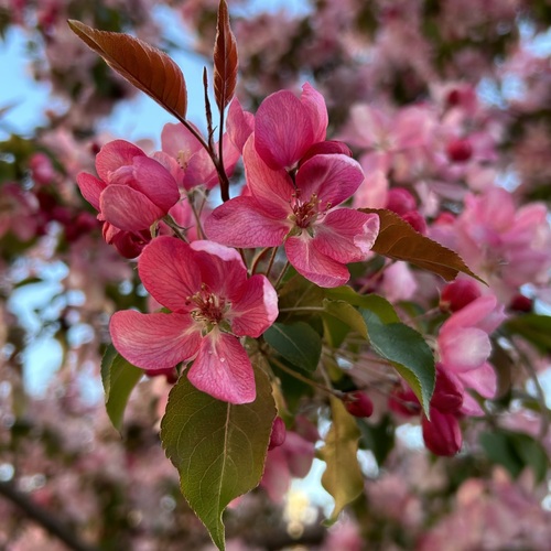 Photo #13866162