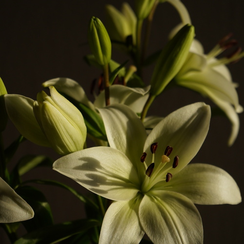Photo #13866168