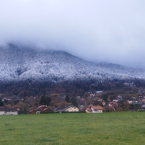 Photo #13866236