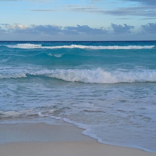 Photo #13866269