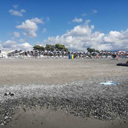 Photo #13866289