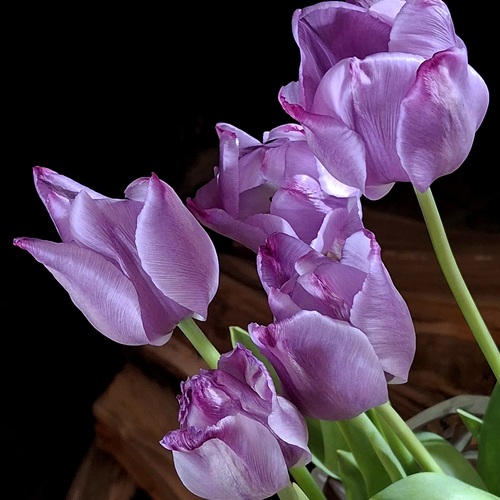 Photo #13866295