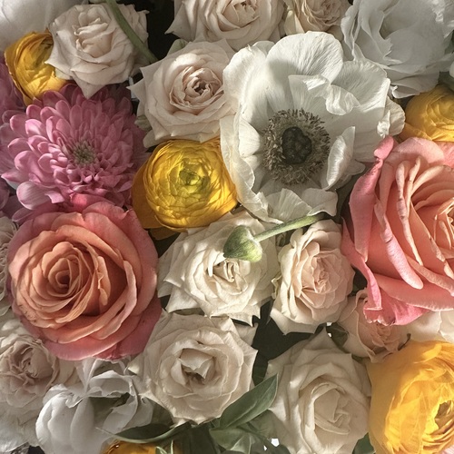 Photo #13866297