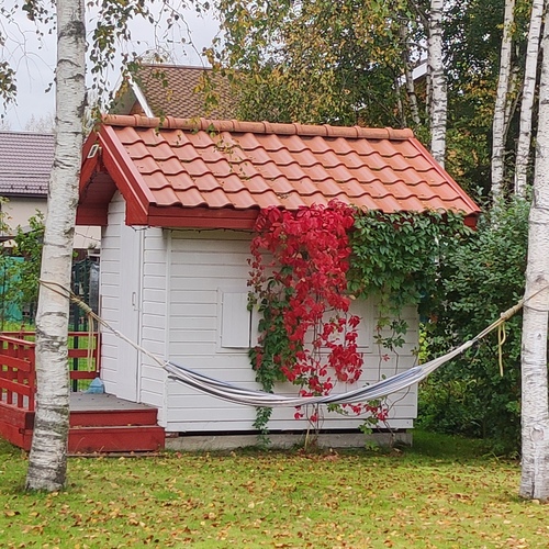 Photo #13866302