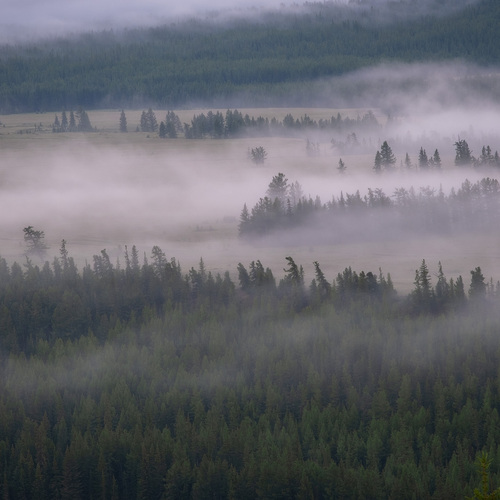 Photo #13866395