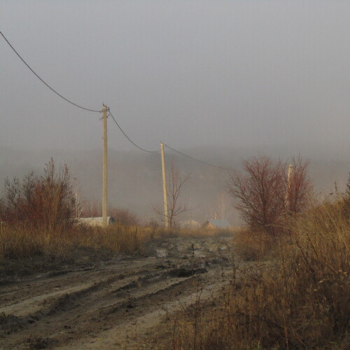 Photo #13866415