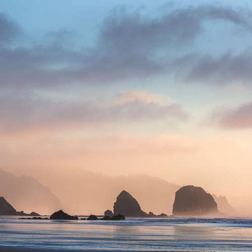 Photo #13866453