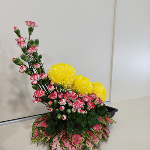Photo #13866494