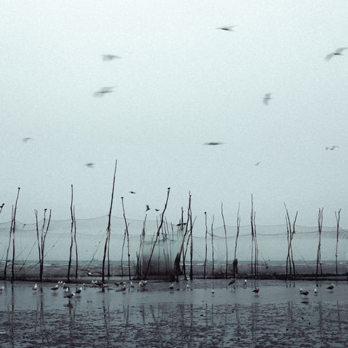 Photo #13866534