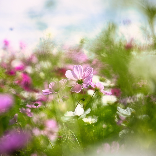 Photo #13866555