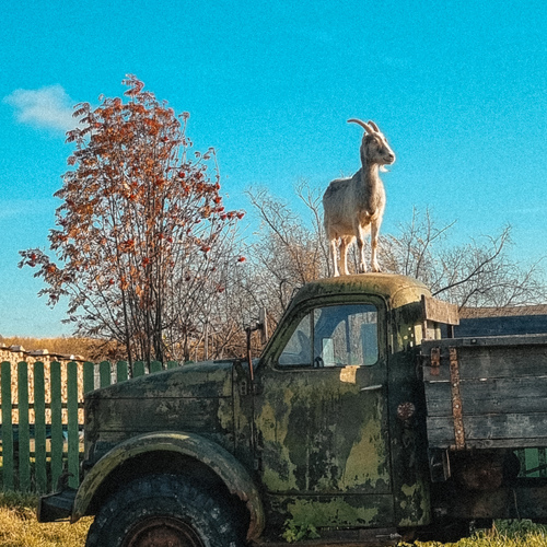 Photo #13866611