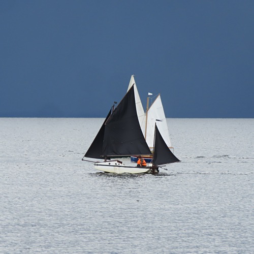Photo #13866669