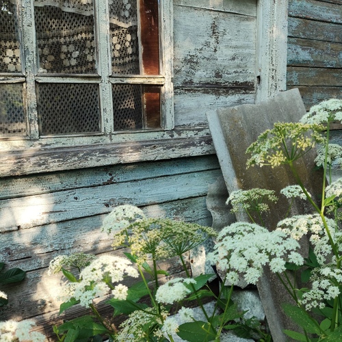 Photo #13866728