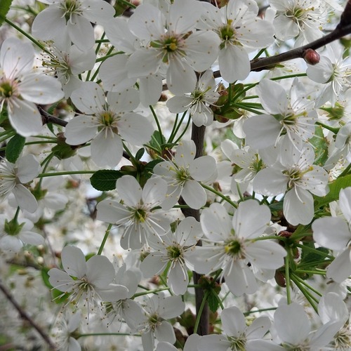 Photo #13866833