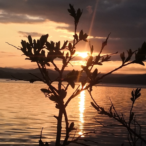 Photo #13866870