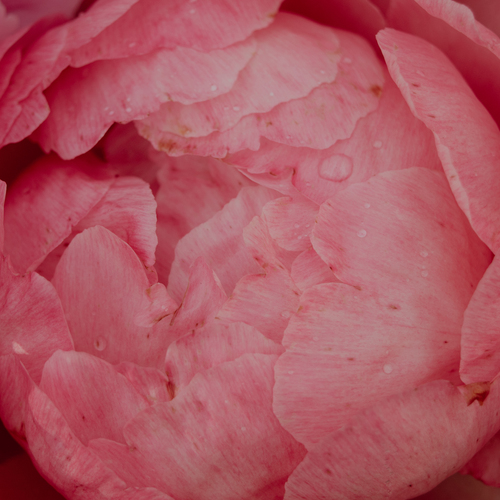 Photo #13866939