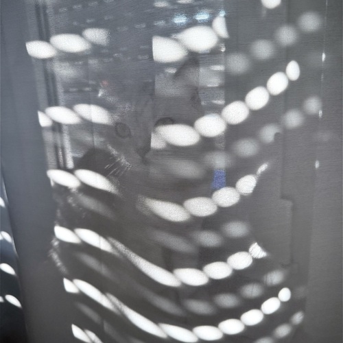 Photo #13867022