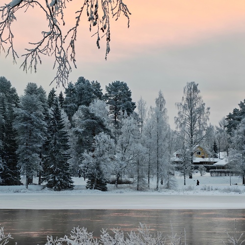 Photo #13867056