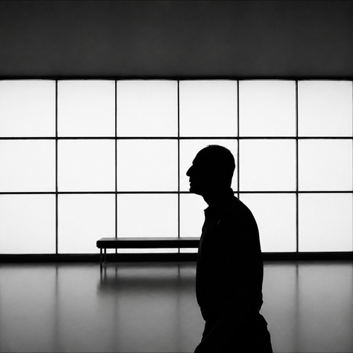Between Light and Silence