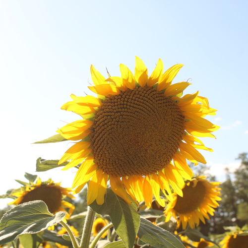 Photo #13867249