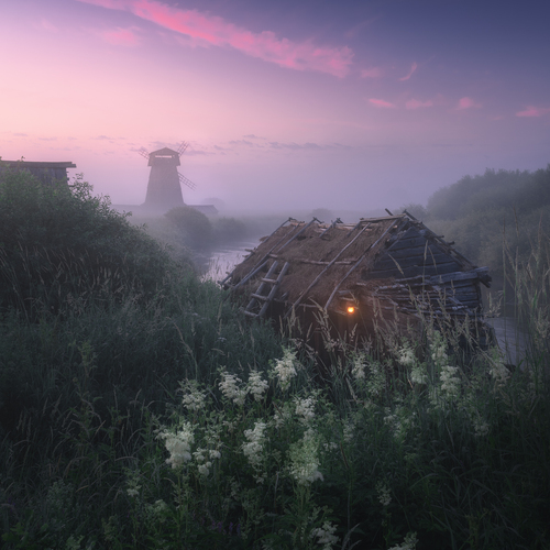 Photo #13867322
