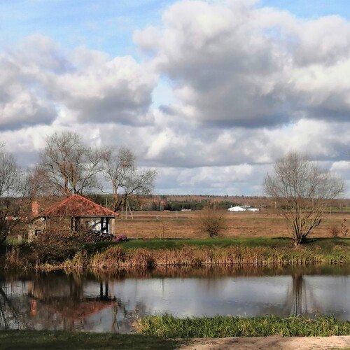 Photo #13867361