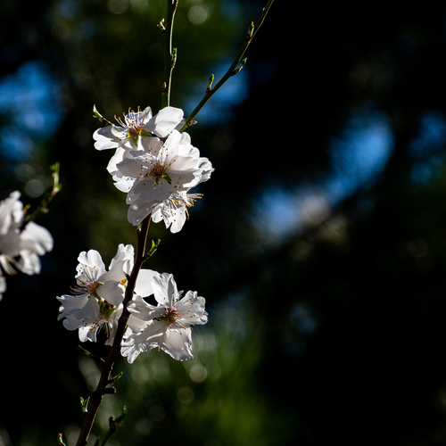 Photo #13867415