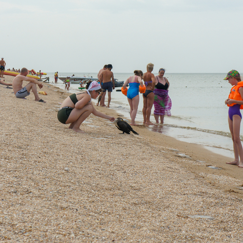 Photo #13867434