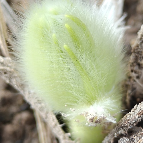 Photo #13867459