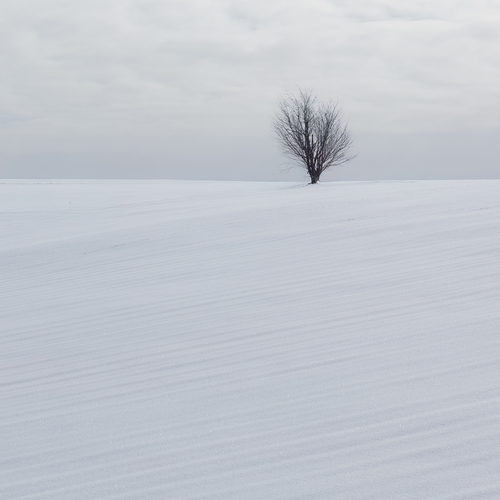 Photo #13867471