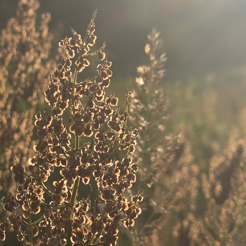 Photo #13867478