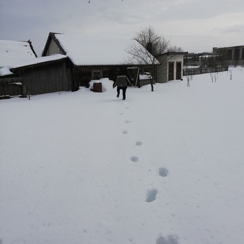 Photo #13867527