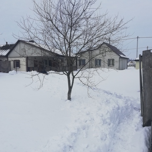 Photo #13867544