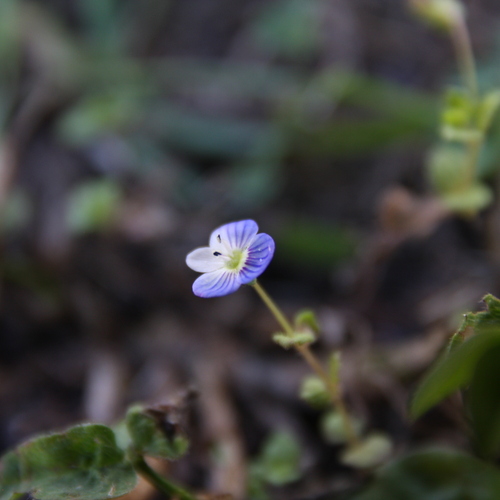 Photo #13867572