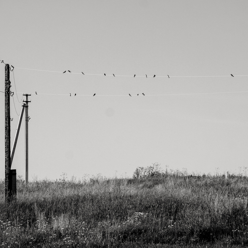 Photo #13867583