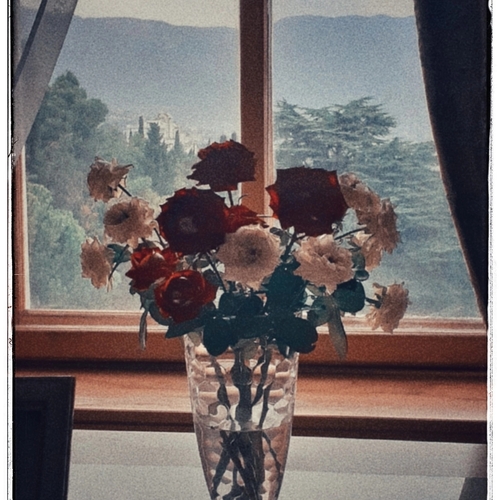 Photo #13867613
