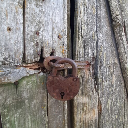 Photo #13867636
